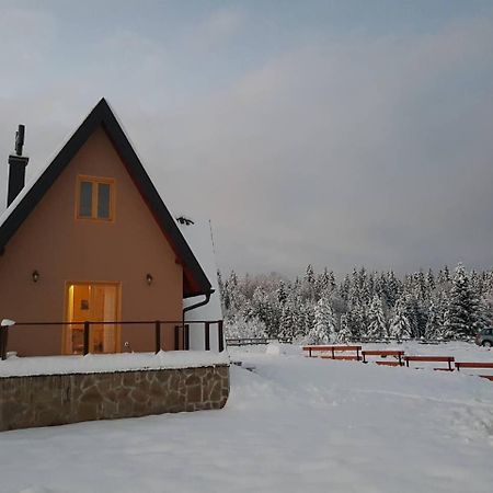 Mountain House Popovic Tara Villa Bajina Basta Kültér fotó