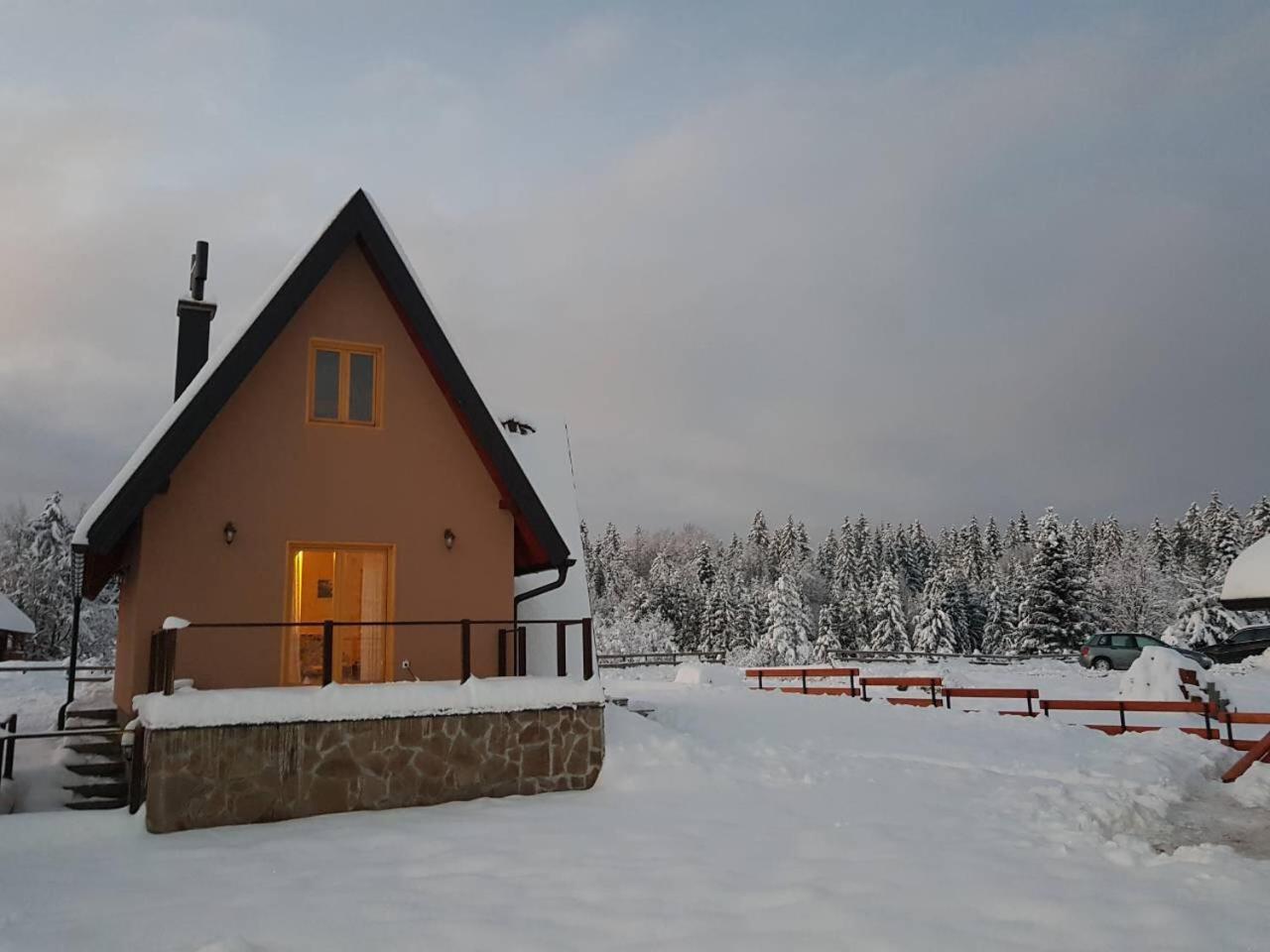 Mountain House Popovic Tara Villa Bajina Basta Kültér fotó
