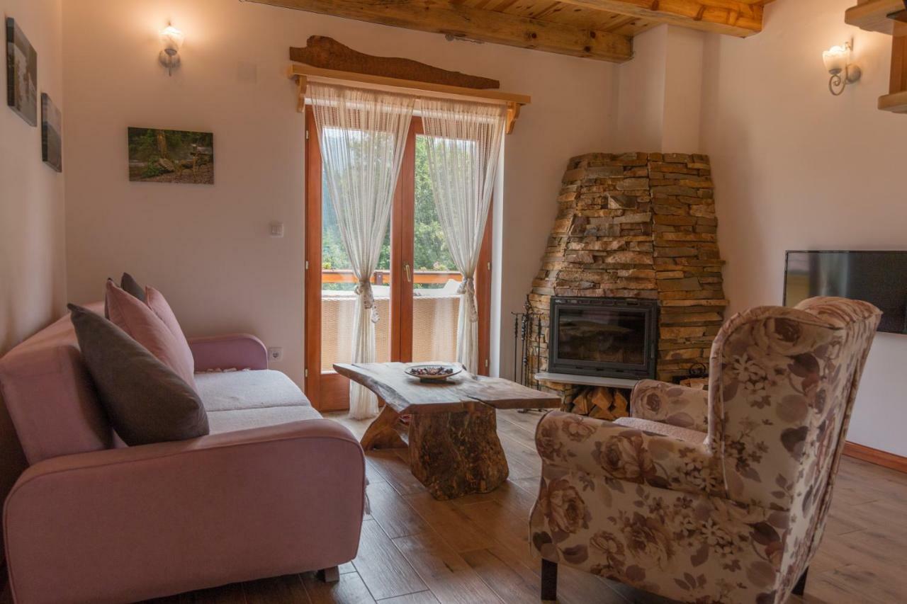 Mountain House Popovic Tara Villa Bajina Basta Kültér fotó
