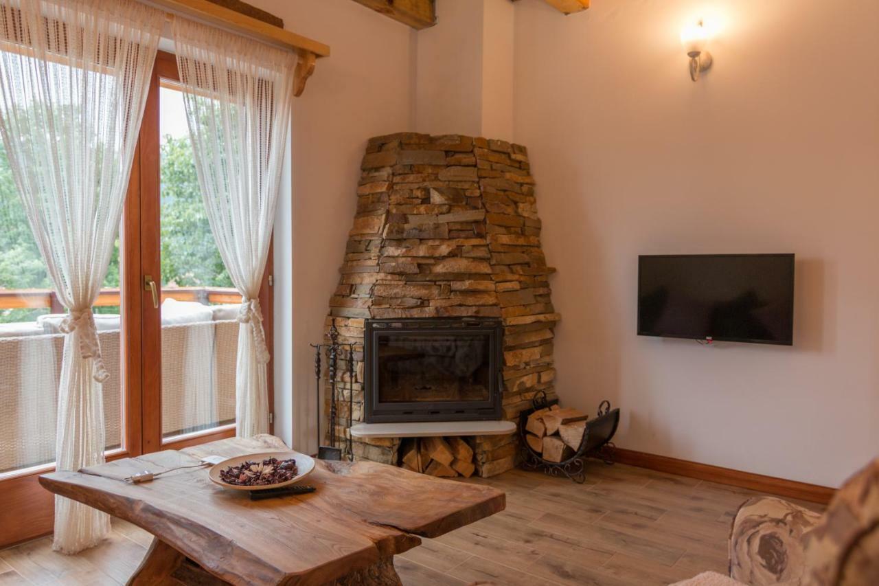 Mountain House Popovic Tara Villa Bajina Basta Kültér fotó
