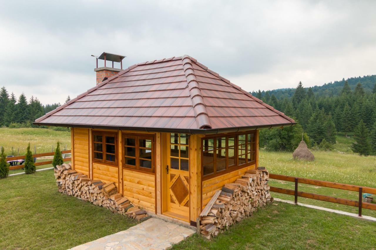 Mountain House Popovic Tara Villa Bajina Basta Kültér fotó