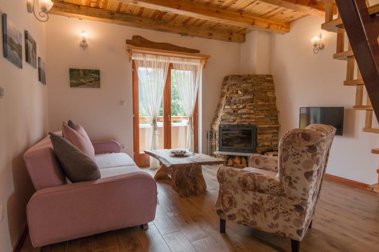 Mountain House Popovic Tara Villa Bajina Basta Kültér fotó