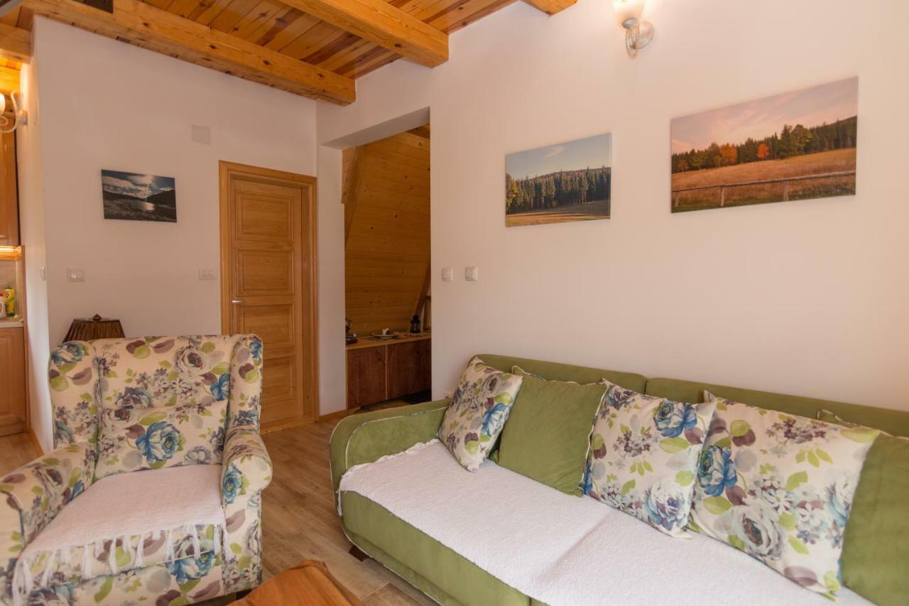 Mountain House Popovic Tara Villa Bajina Basta Kültér fotó