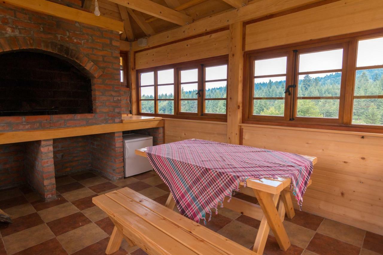 Mountain House Popovic Tara Villa Bajina Basta Kültér fotó