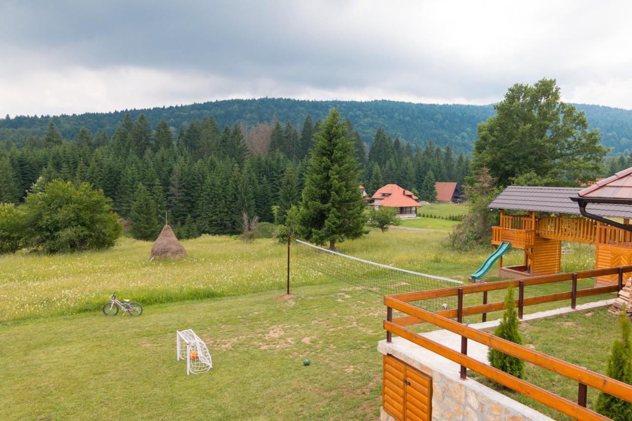 Mountain House Popovic Tara Villa Bajina Basta Kültér fotó